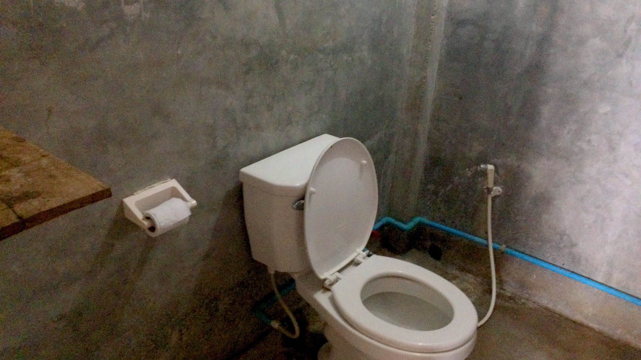 Photo of Bathroom in Pai