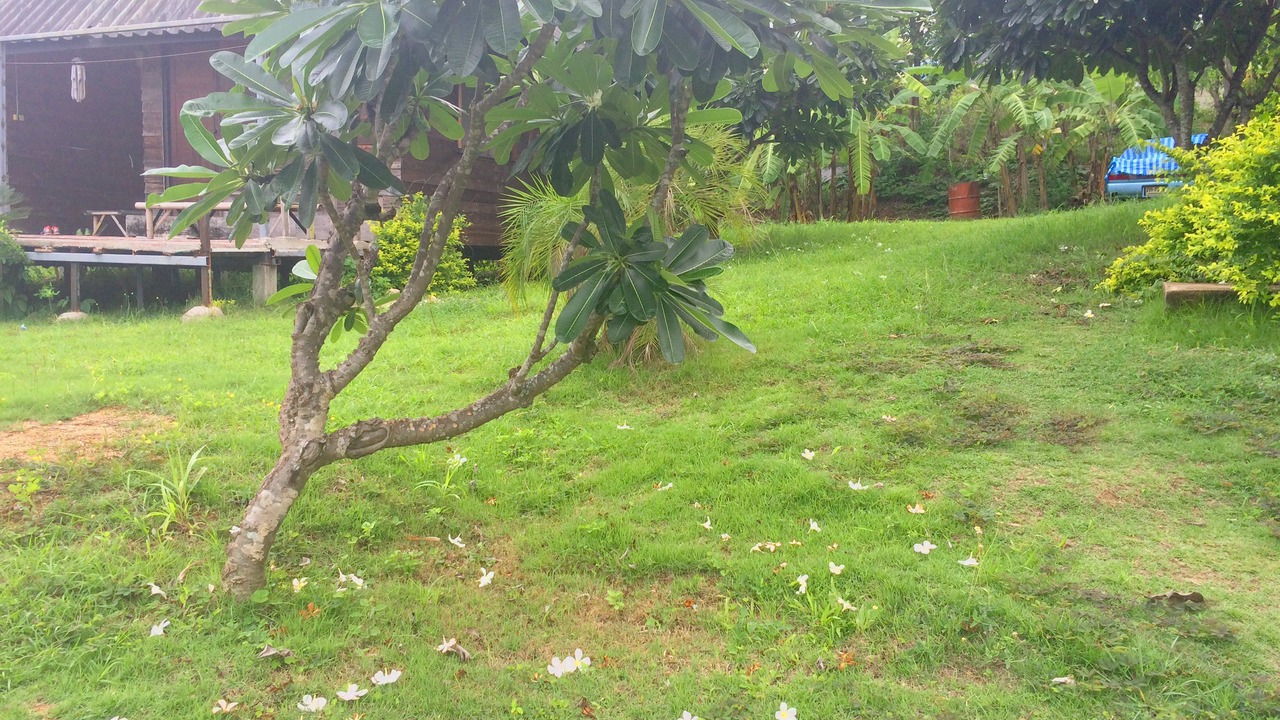Photo of Others in Pai