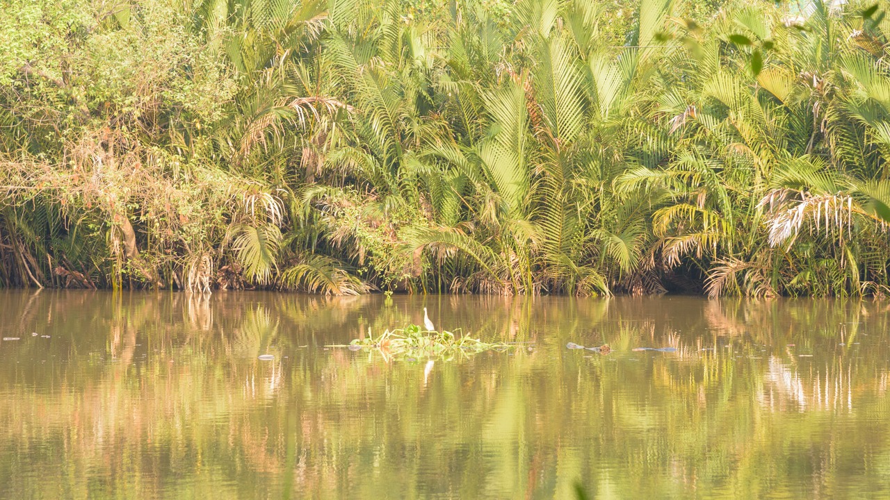 Photo of Outdoor in Samut Songkhram
