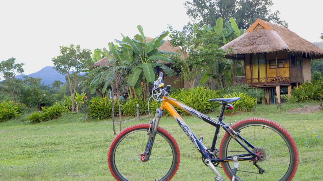Photo of Others in Pai