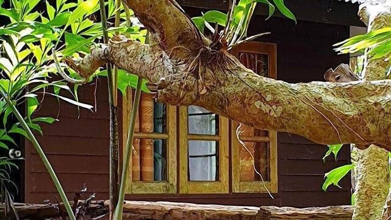 Photo of Outdoor in Khlong Khut