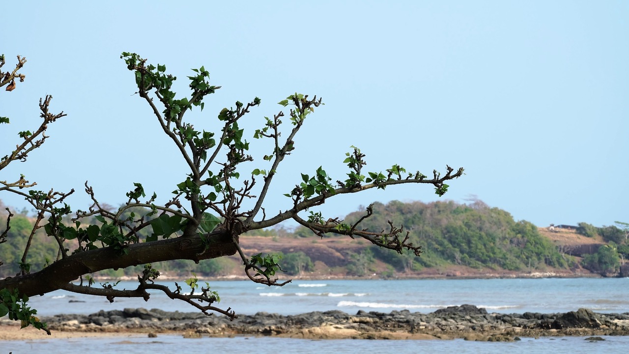 Photo of Others in Ko Mak