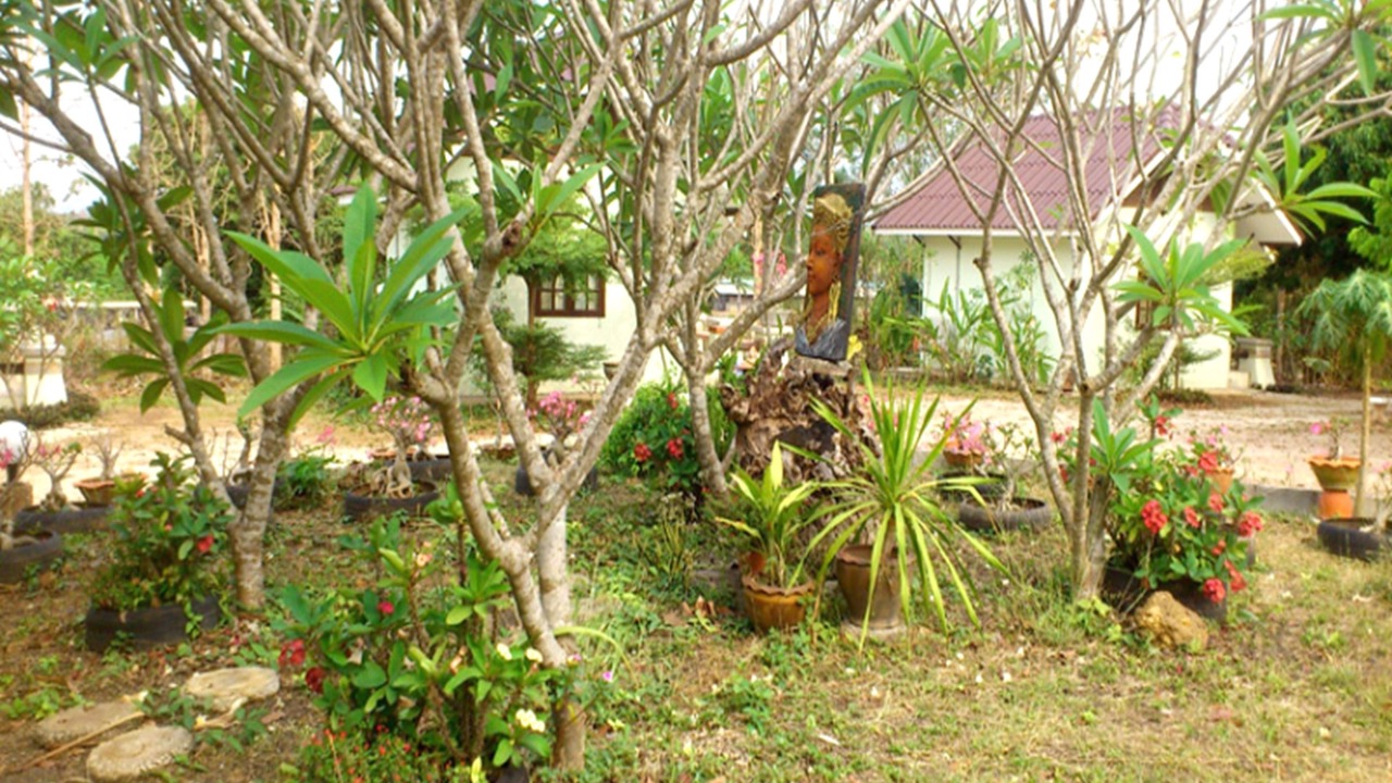 Photo of Outdoor in Wang Saphung