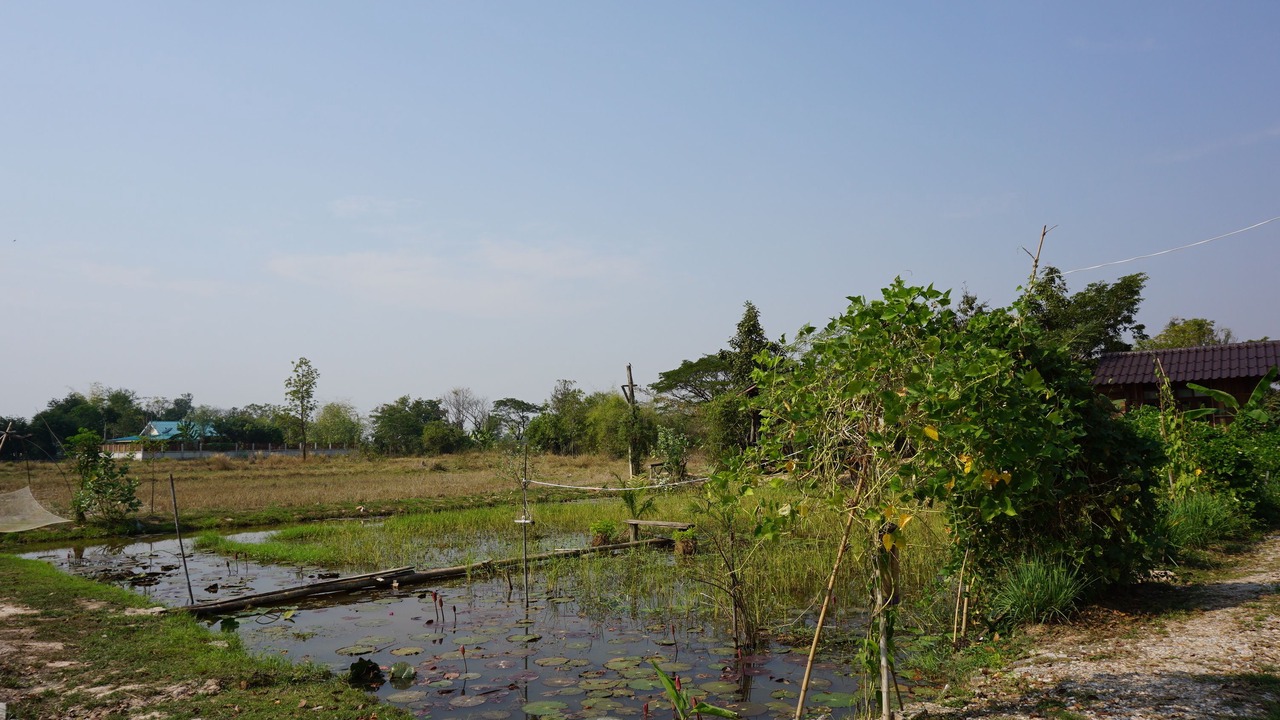 Photo of Outdoor in Mueang Kao