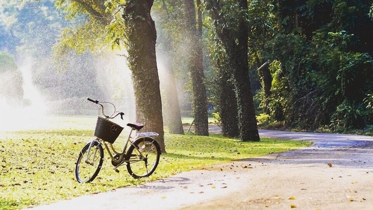 Photo of Outdoor in Ban Pong