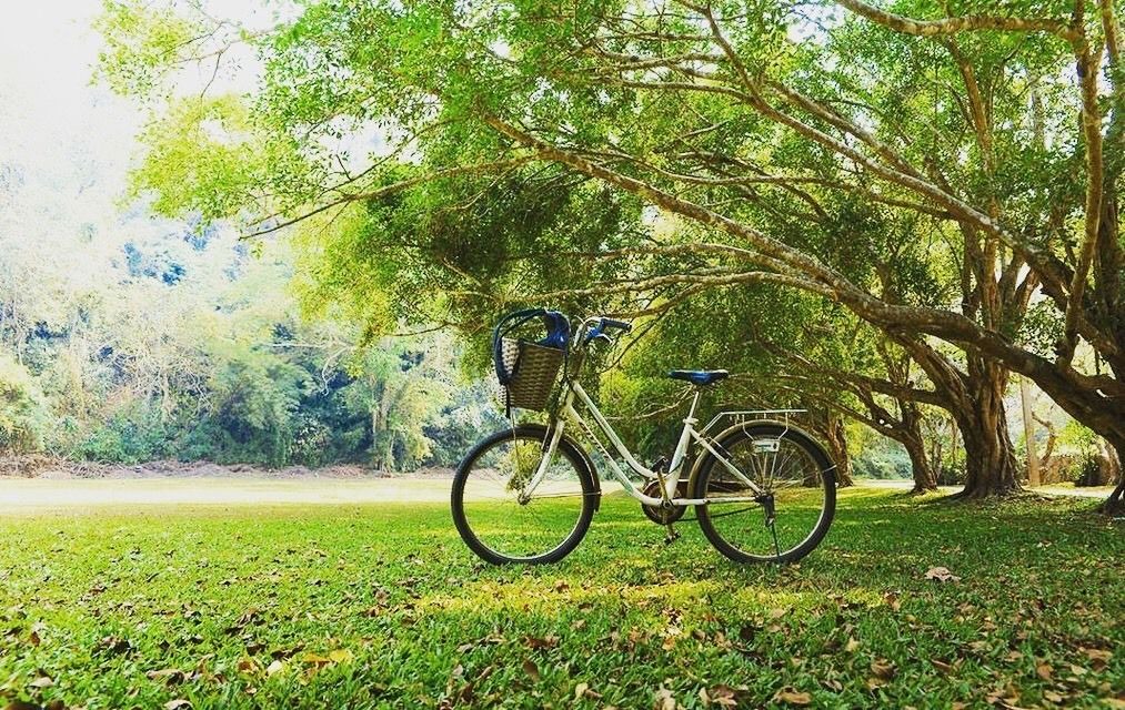 Photo of Outdoor in Ban Pong