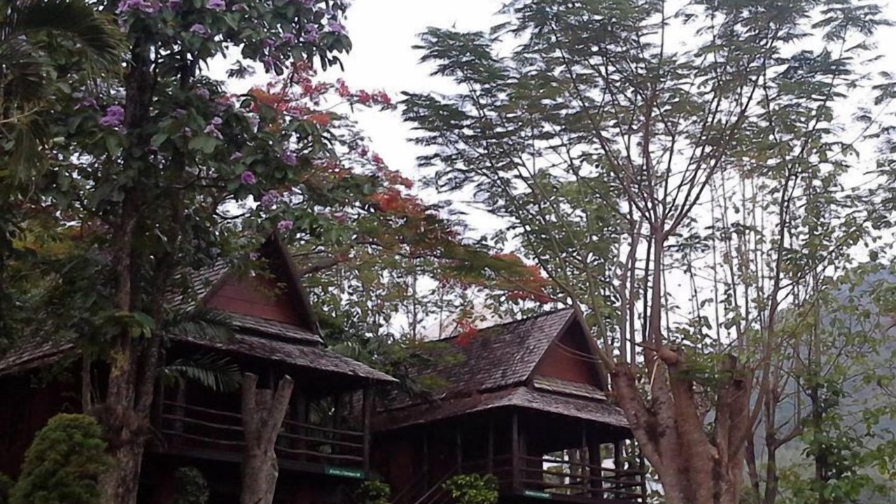 Photo of Outdoor in Hang Dong