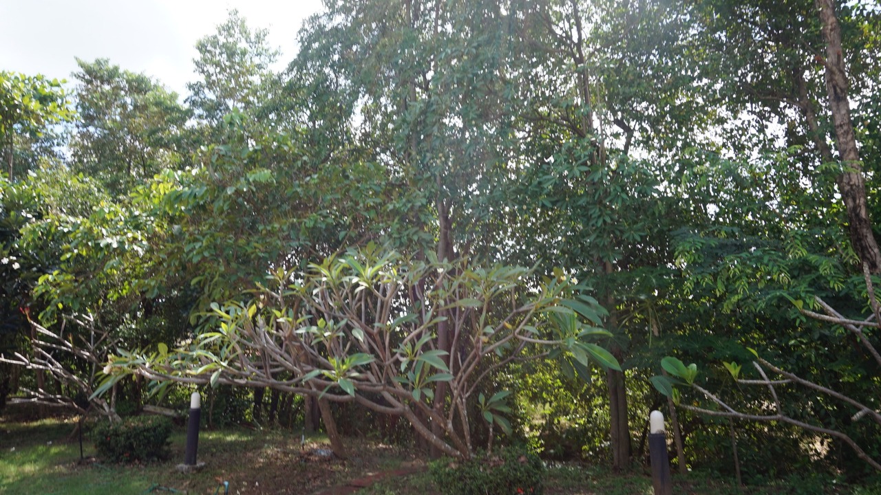 Photo of Outdoor in Kalasin