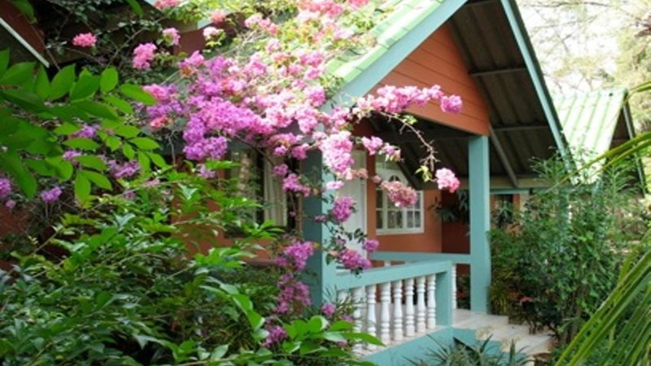 Photo of Outdoor in Mai Rut