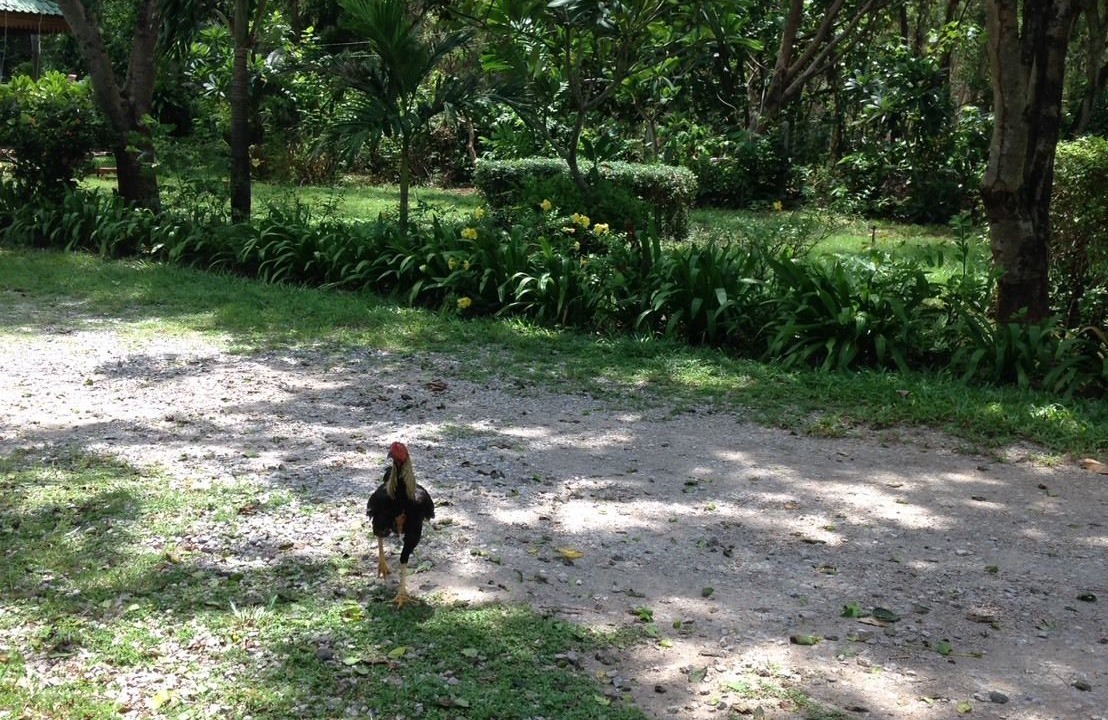 Photo of Outdoor in Rayong