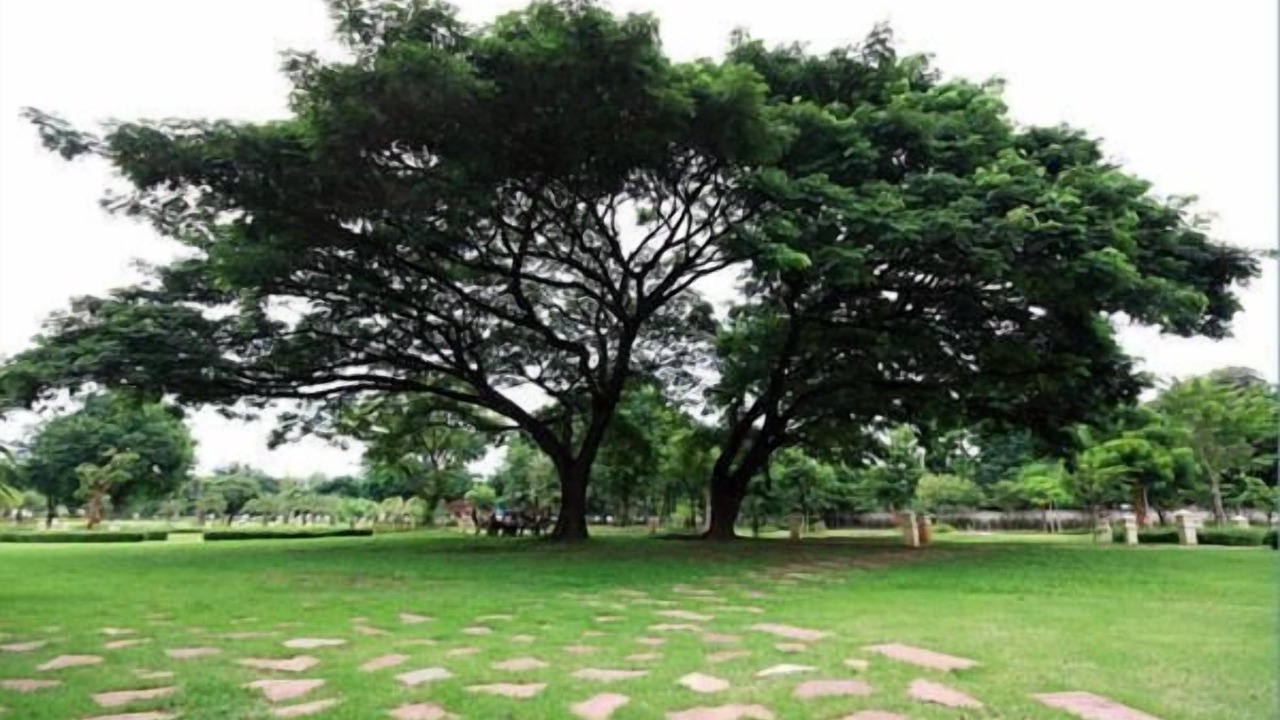 Photo of Outdoor in Nakhon Ratchasima