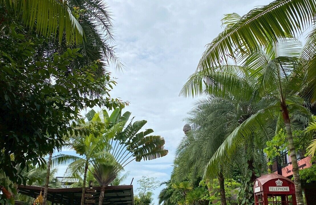Photo of Outdoor in Ban Du