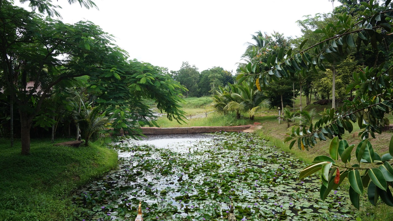 Photo of Outdoor in Wang Nam Khiao