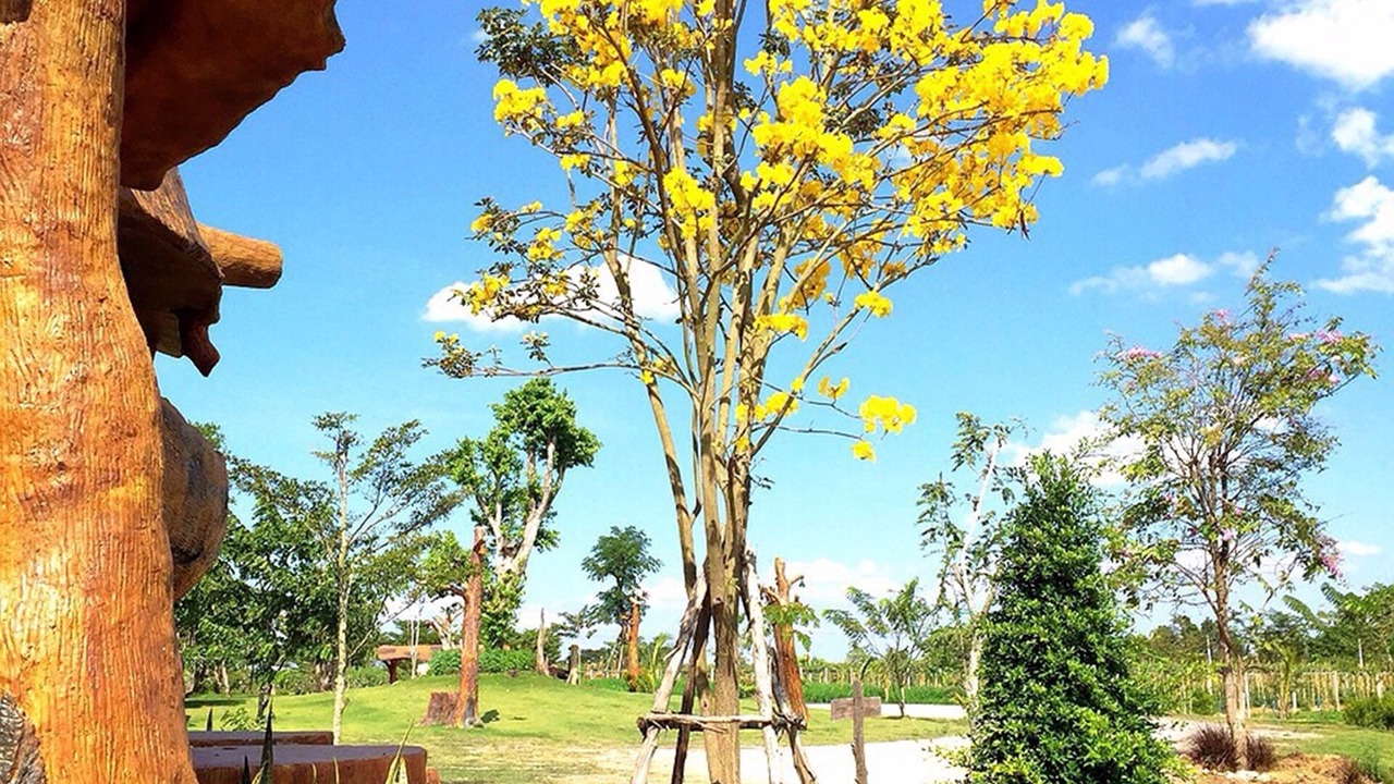 Photo of Outdoor in Tha Khoei