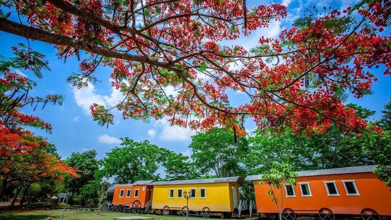 Photo of Outdoor in Nong Nam Daeng