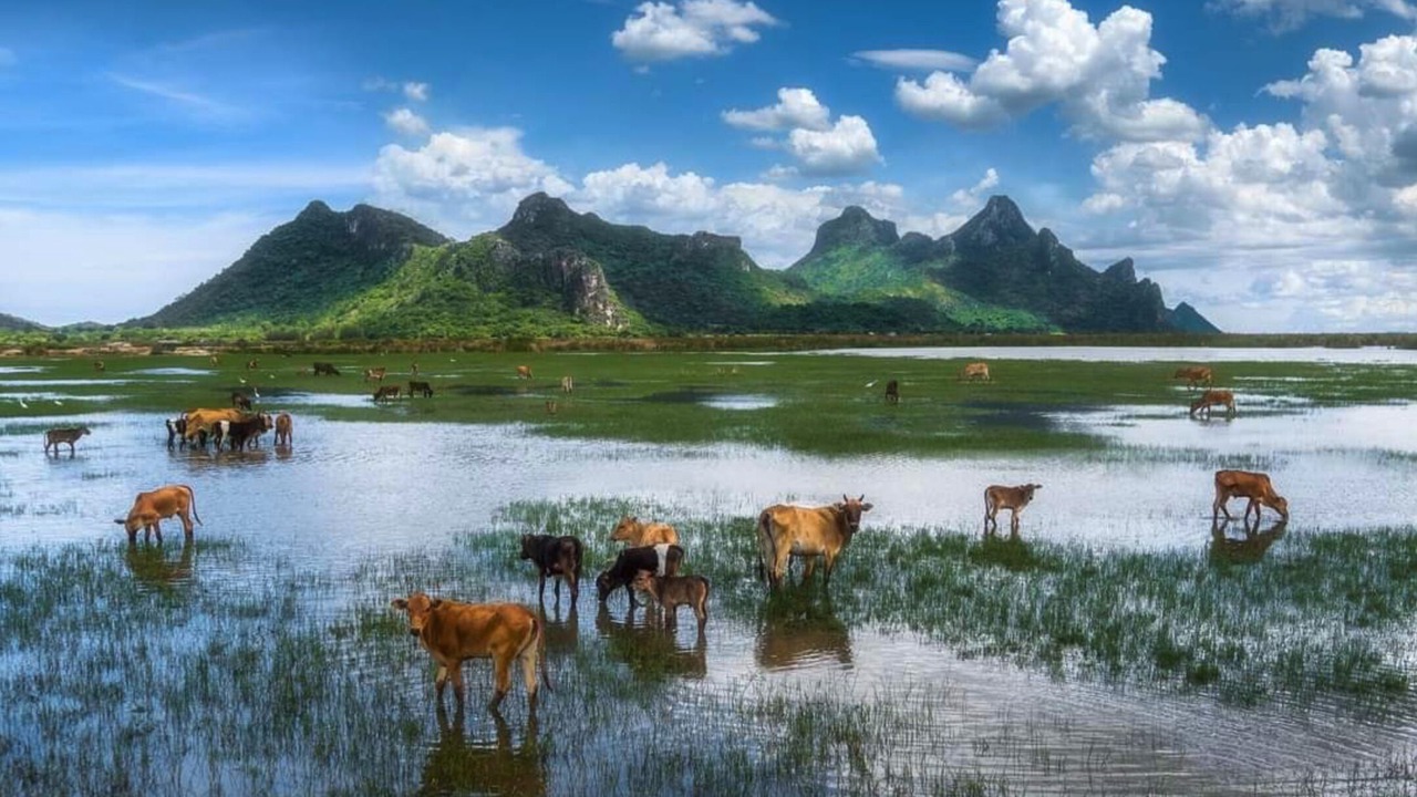 Photo of Others in Sam Roi Yot