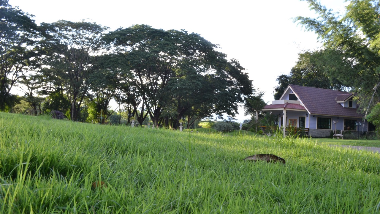 Photo of Outdoor in Suan Phueng