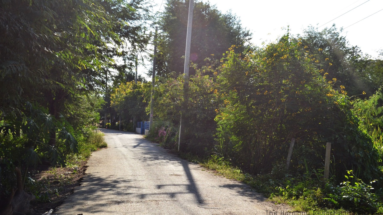Photo of Outdoor in Suan Phueng