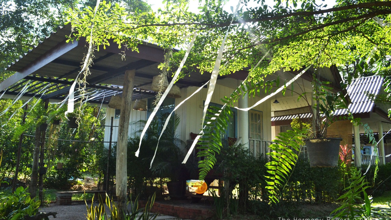 Photo of Others in Suan Phueng