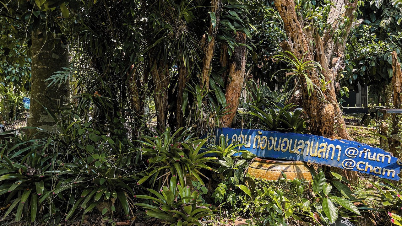 Photo of Outdoor in Lan Saka