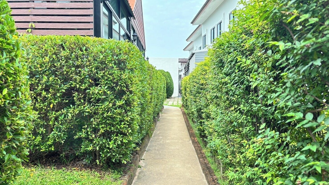 Photo of Outdoor in Roi Et