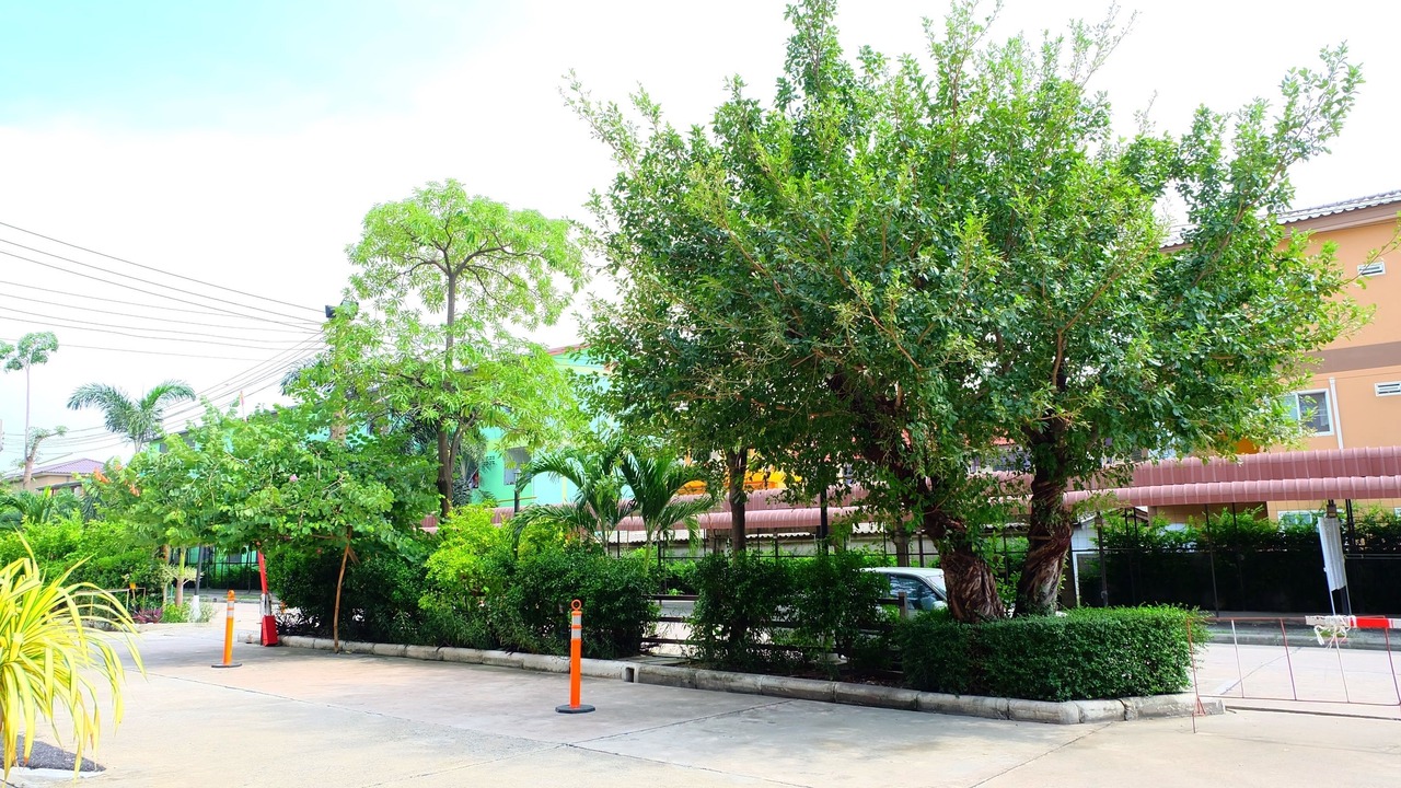 Photo of Outdoor in Bang Bo