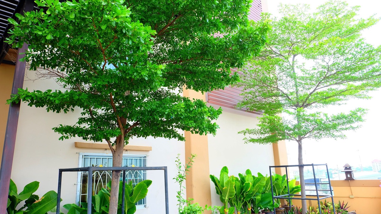 Photo of Outdoor in Bang Bo