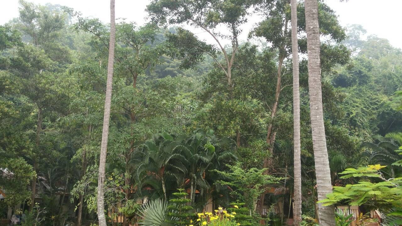 Photo of Outdoor in Pak Nam