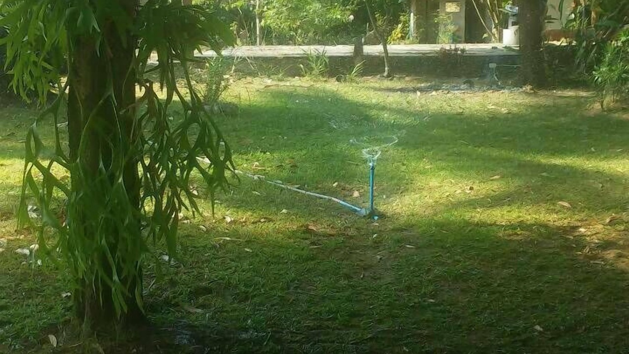 Photo of Outdoor in Pak Nam