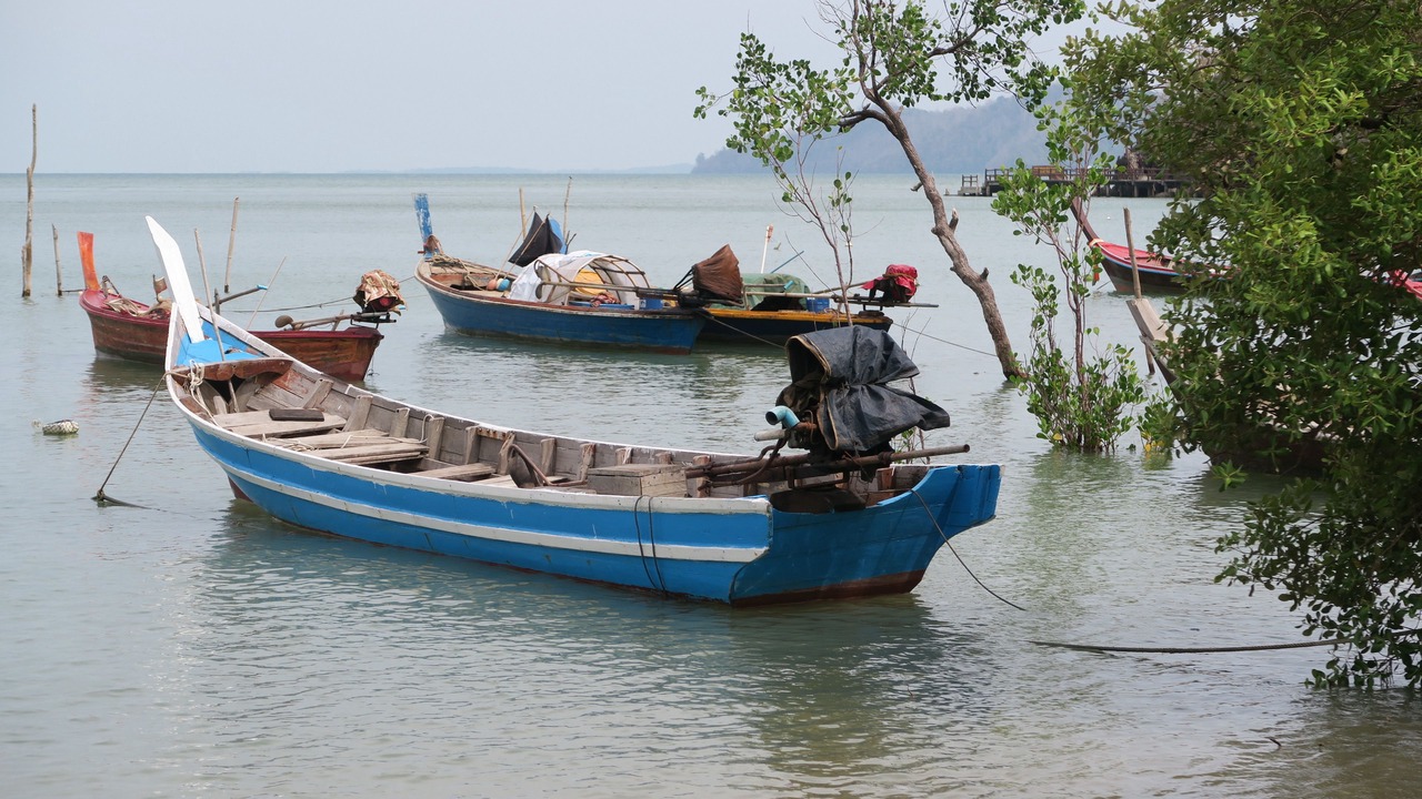 Photo of Others in Pak Nam