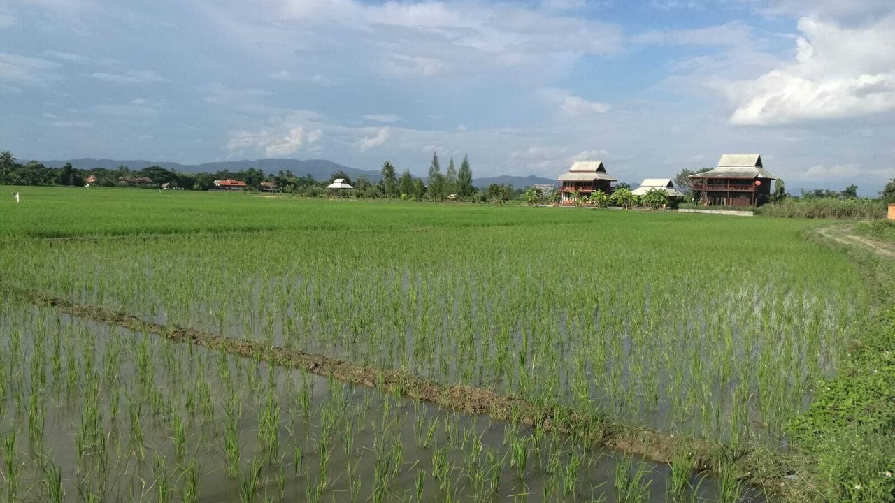 Photo of Outdoor in Mueang Kaeo