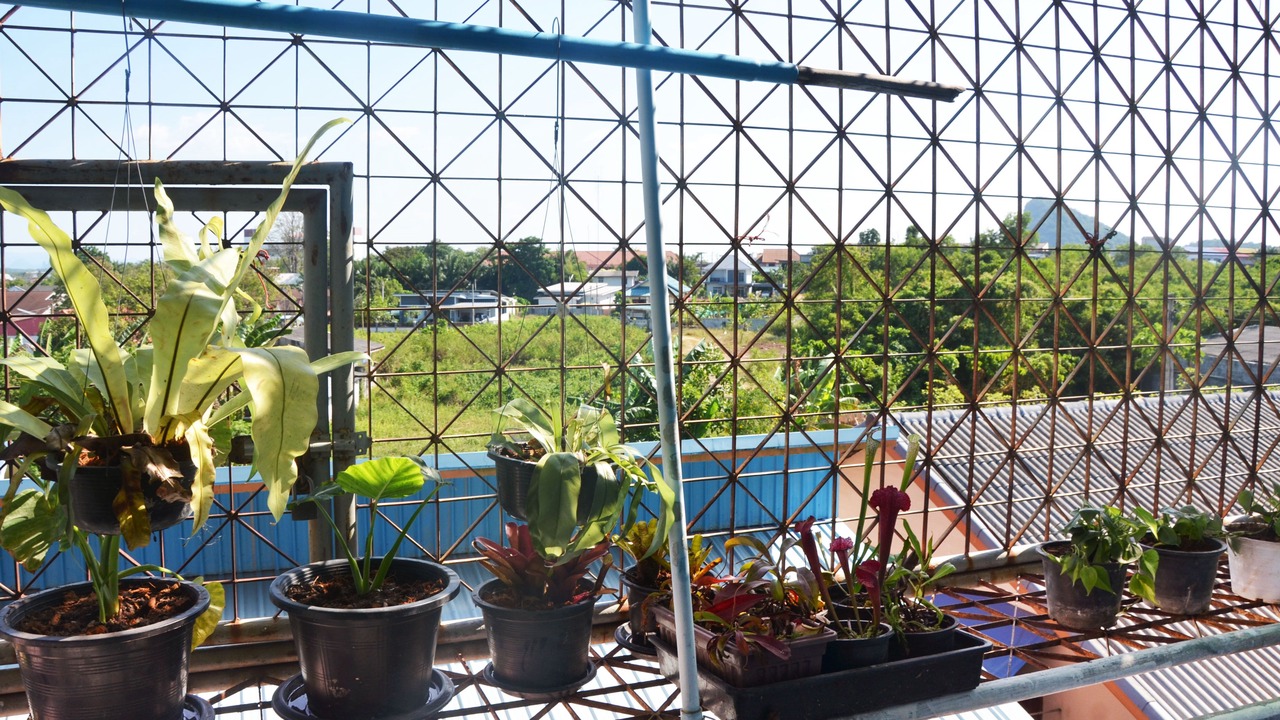 Photo of Outdoor in Don Sak