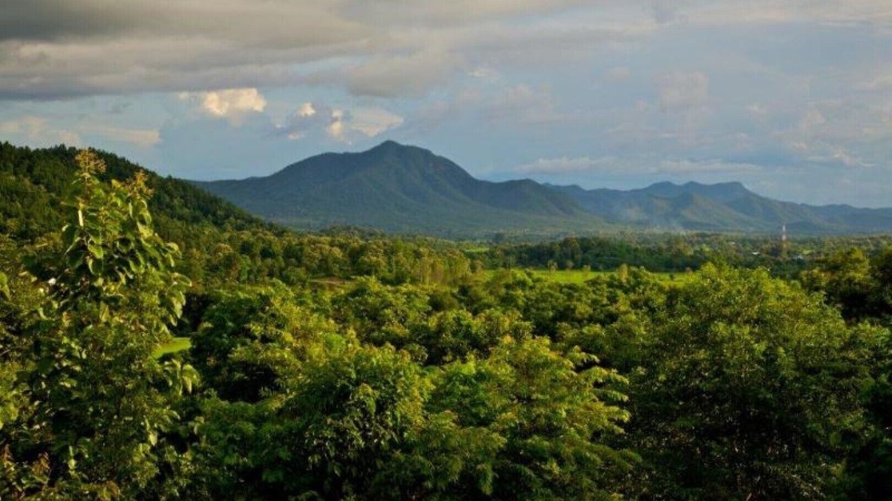 Photo of Outdoor in On Nuea