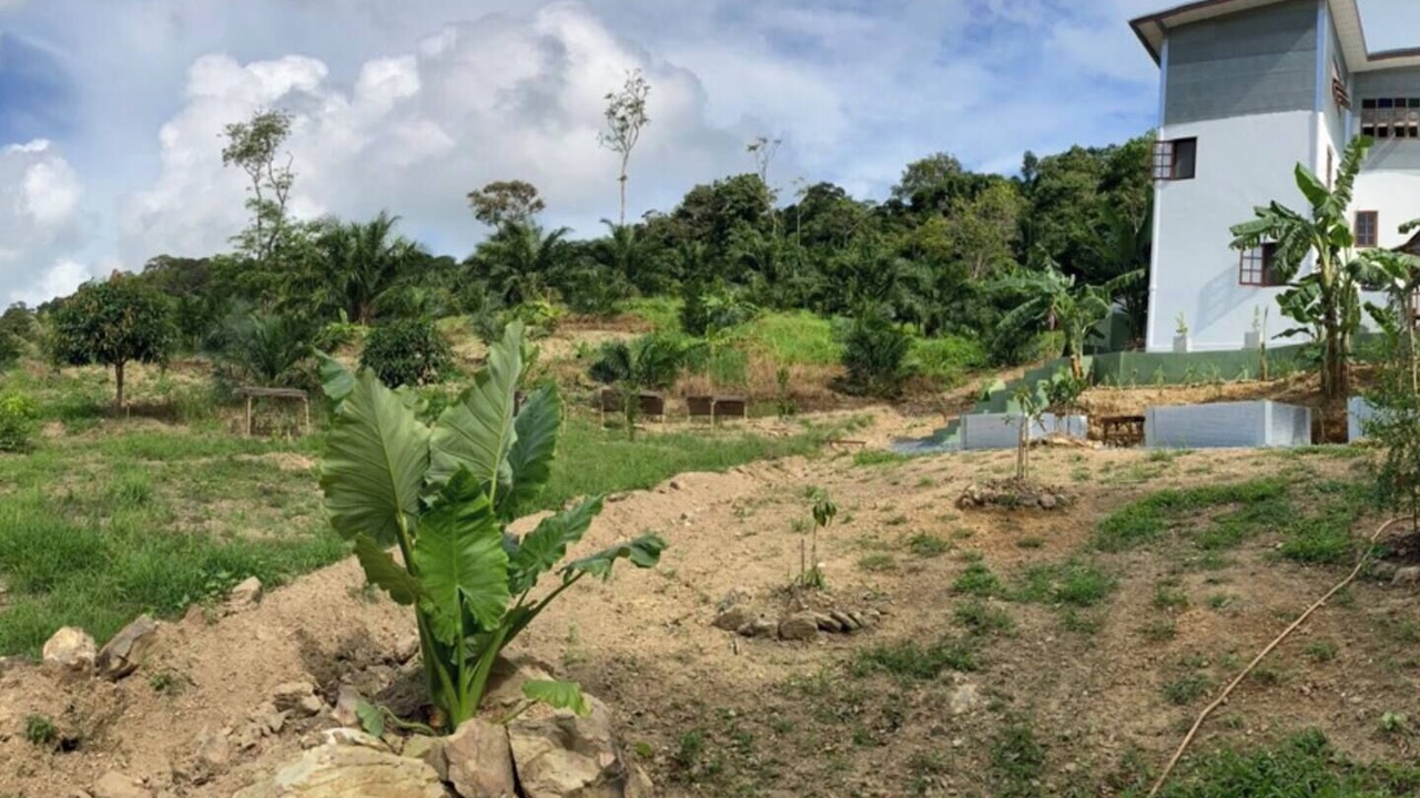Photo of Outdoor in Ko Lanta