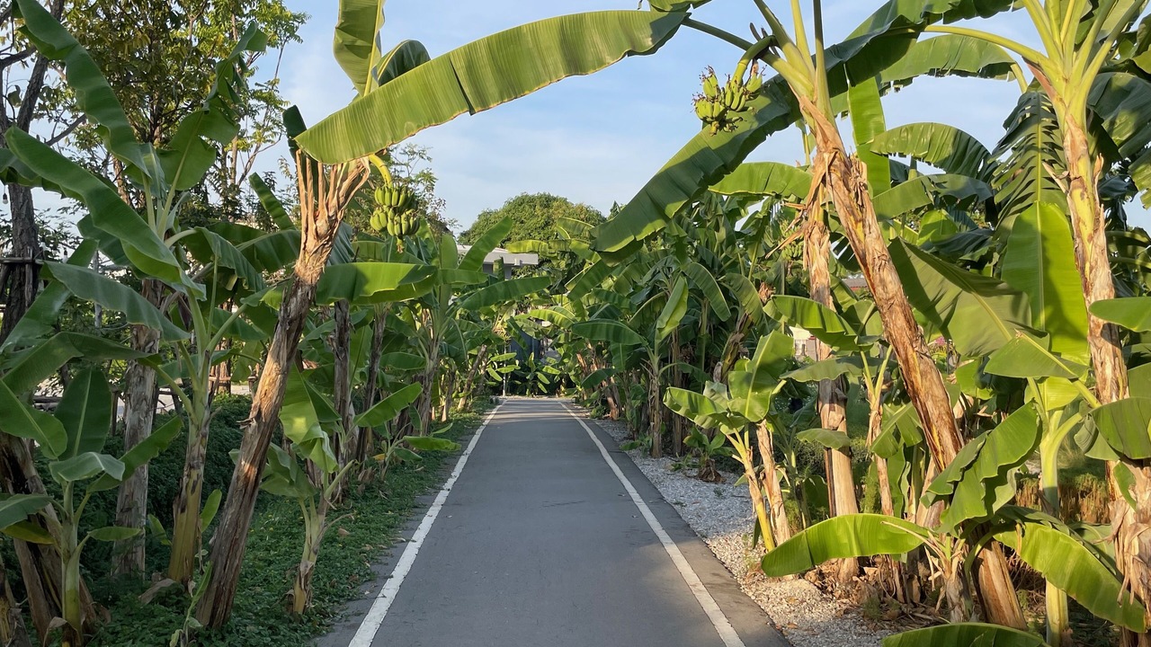 Photo of Outdoor in Phra Khanong Nuea