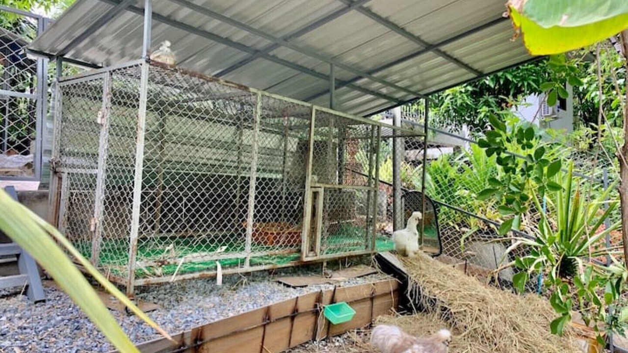 Photo of Outdoor in San Pong