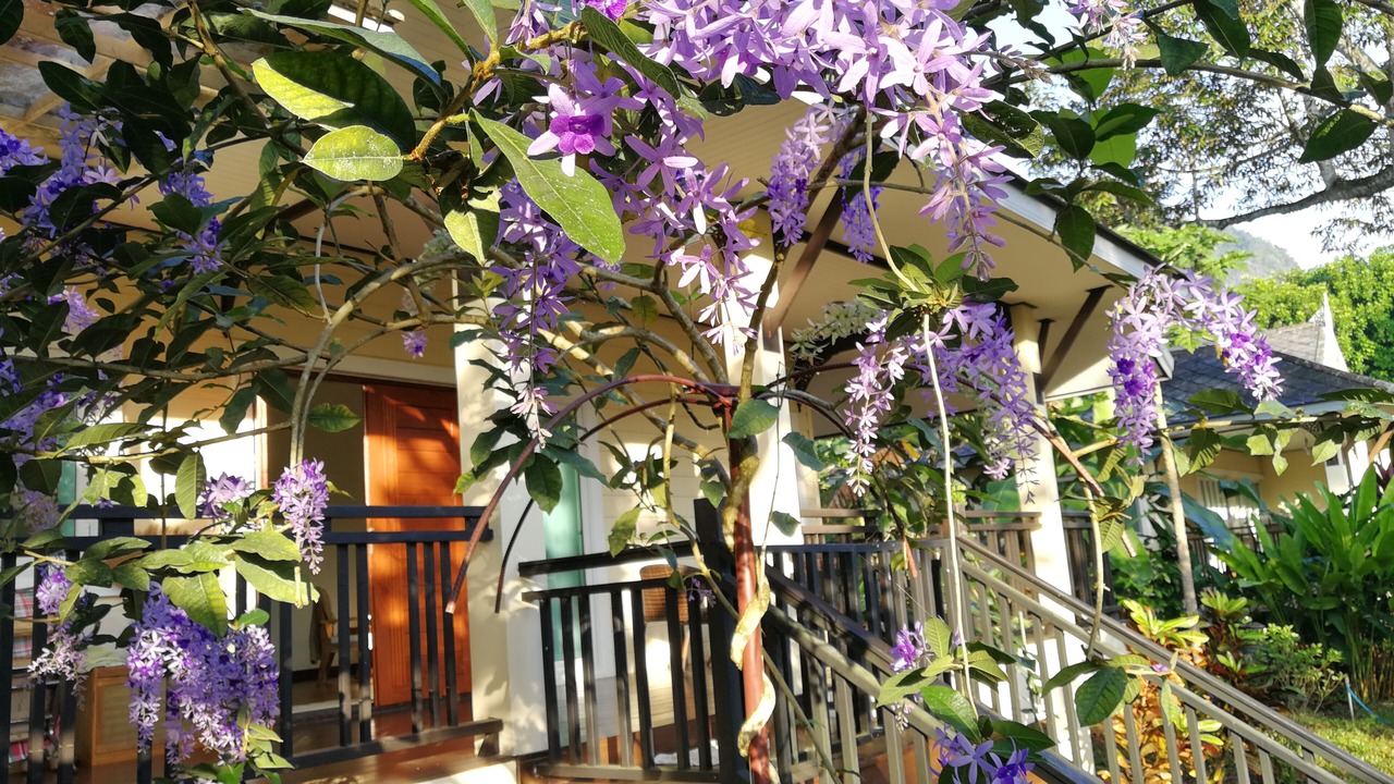 Photo of Outdoor in Sai Thai