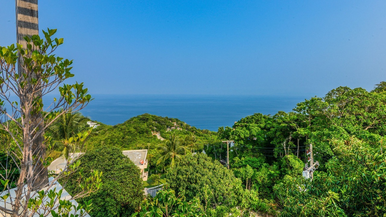 Photo of Others in Koh Tao