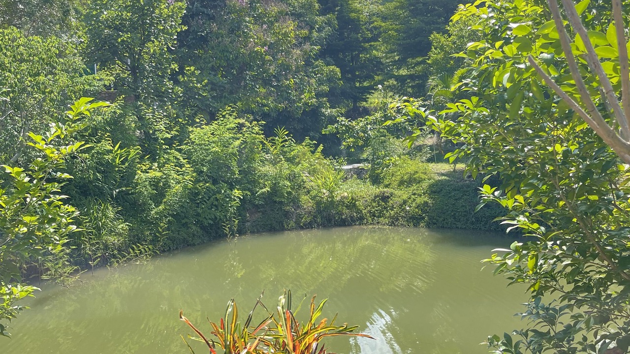 Photo of Outdoor in Mae Rim