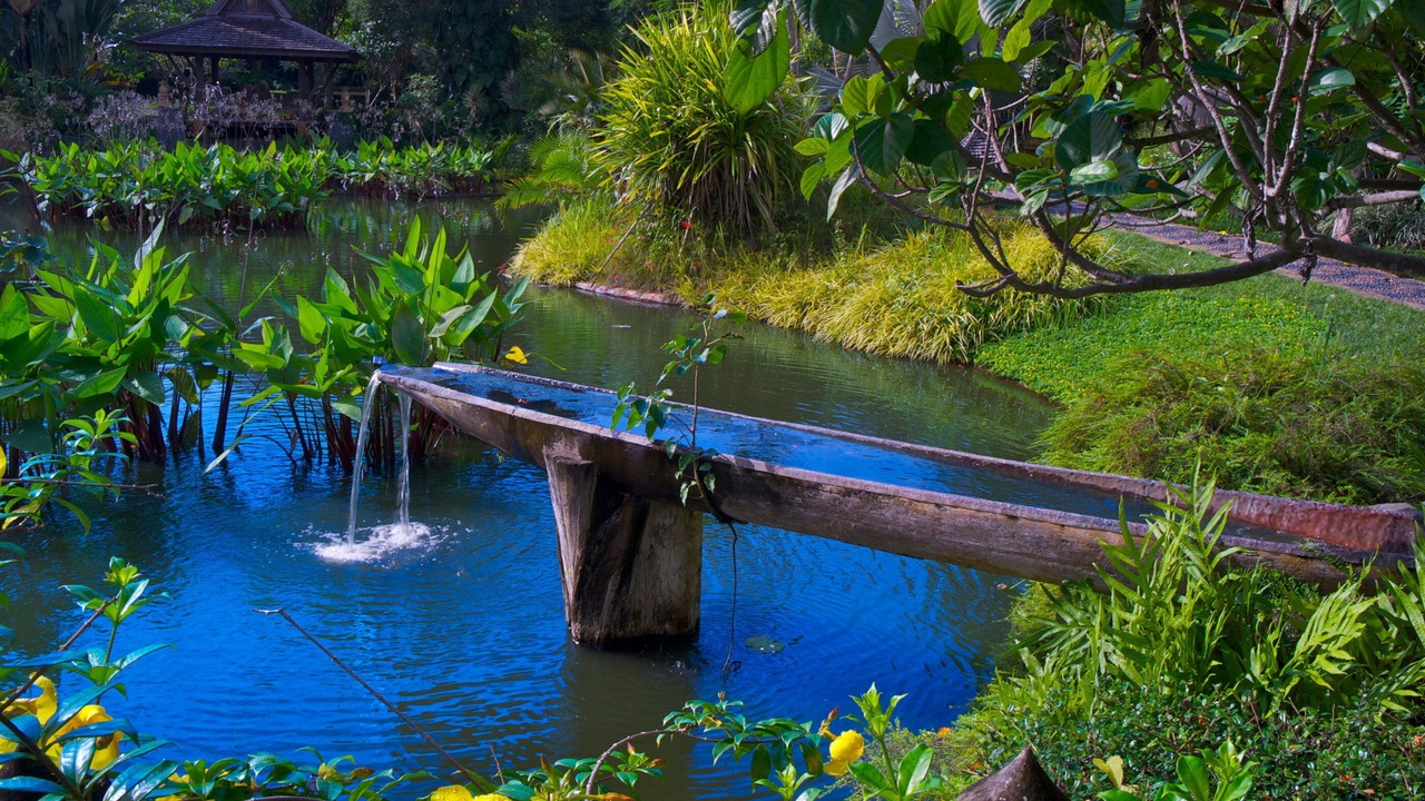 Photo of Outdoor in Lan Dokmai Tok