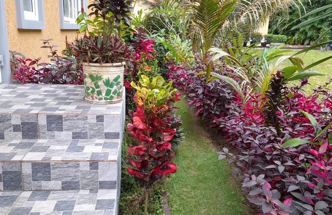 Photo of Outdoor in Klong Son