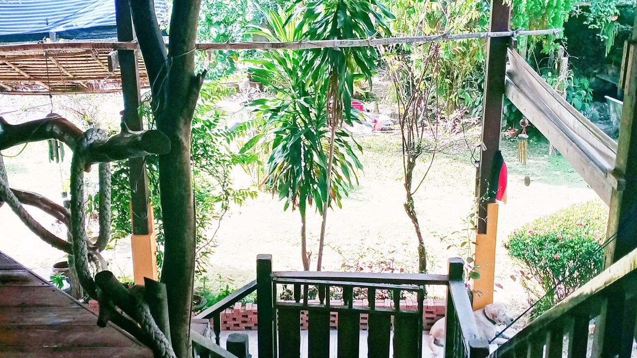 Photo of Outdoor in Klong Son