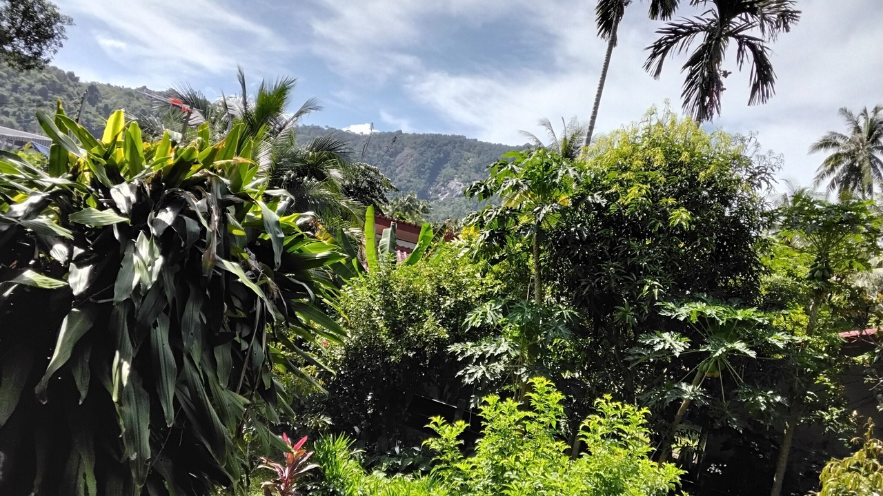 Photo of Outdoor in Klong Son