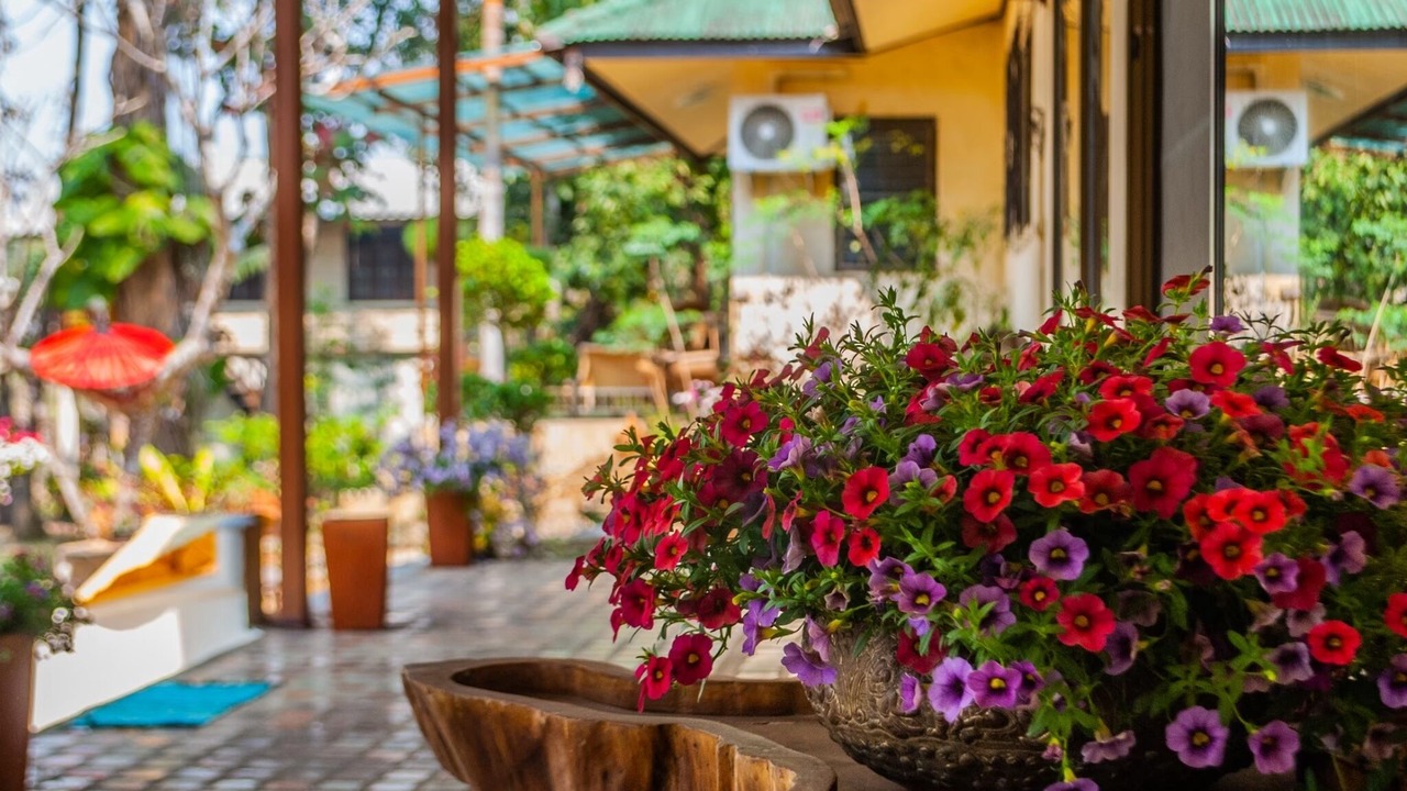 Photo of Outdoor in Mae Kon