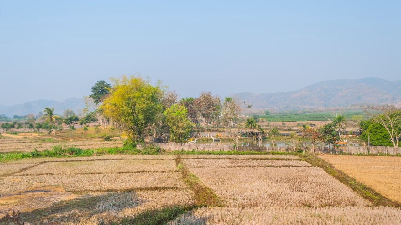 Photo of Outdoor in Mae Kon