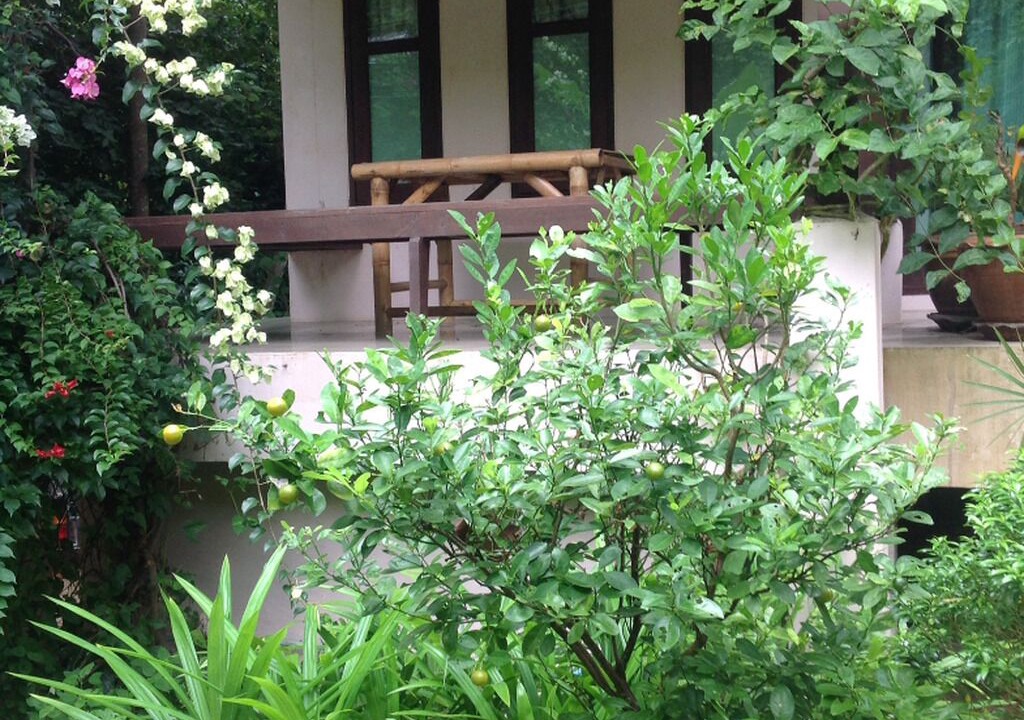 Photo of Outdoor in Wok Tum