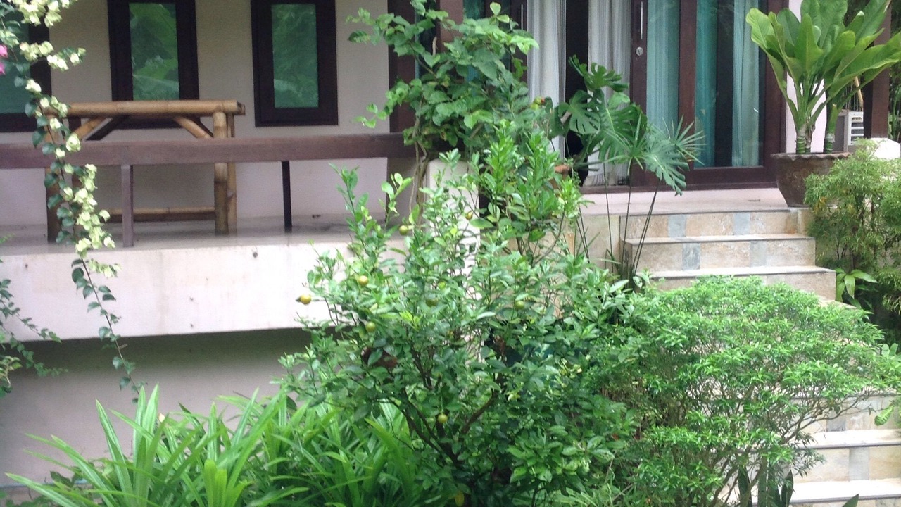 Photo of Outdoor in Wok Tum