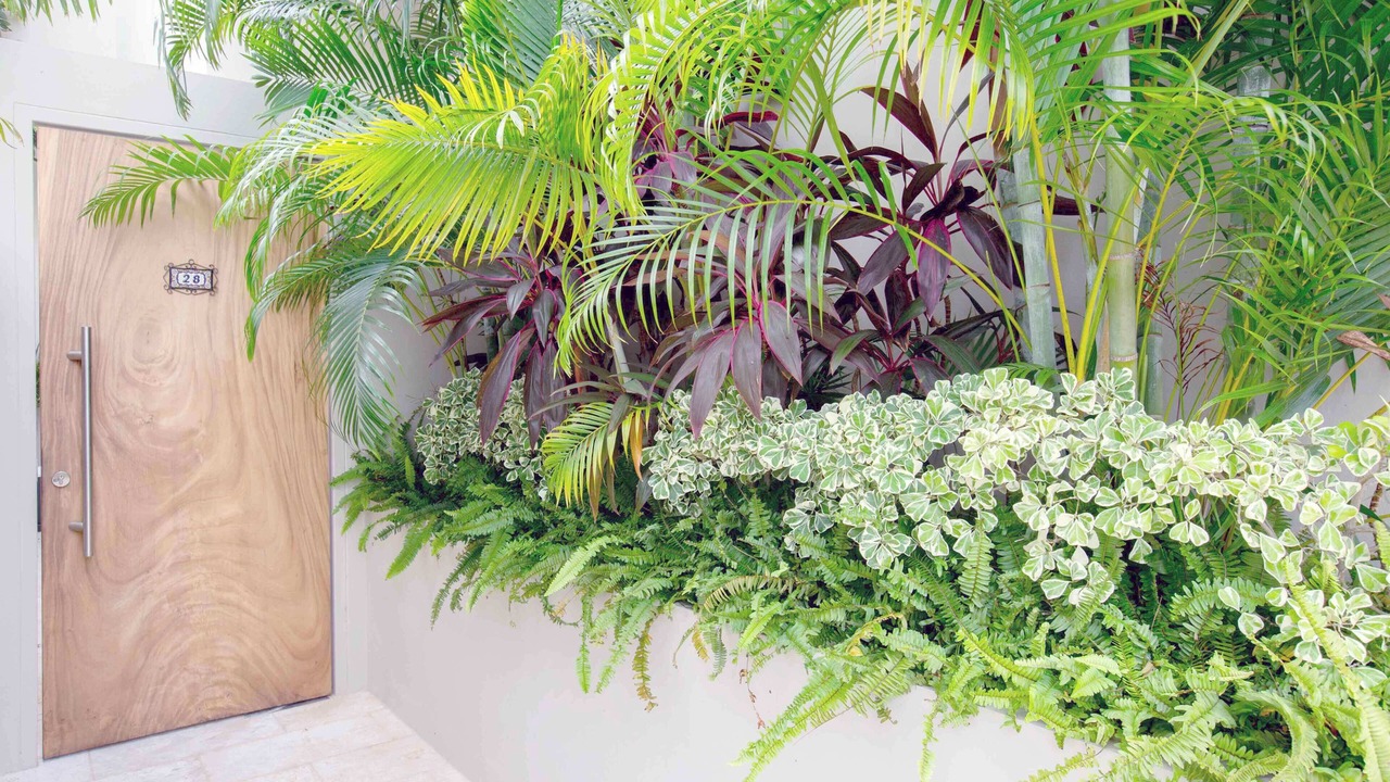 Photo of Outdoor in Moo 5