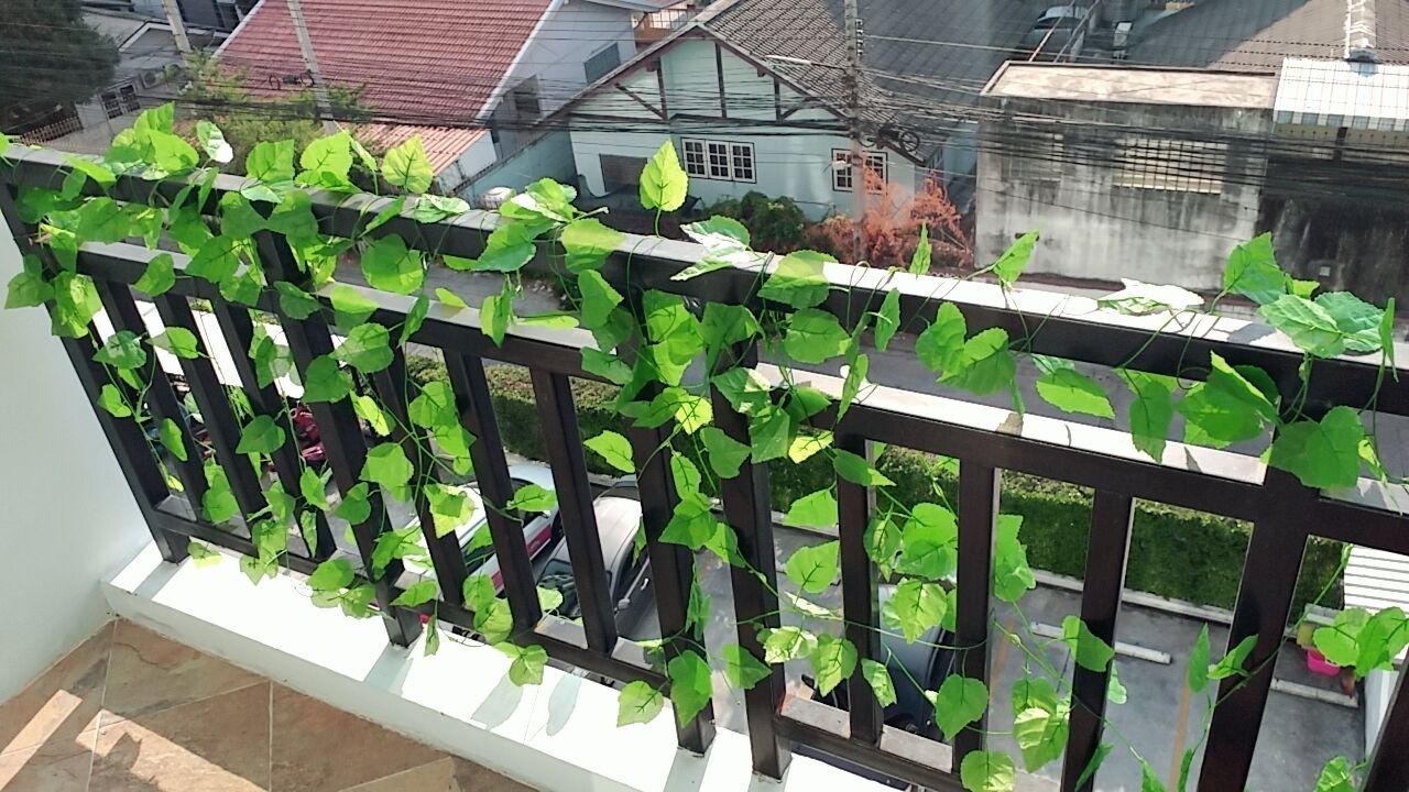 Photo of Outdoor in Saen Suk