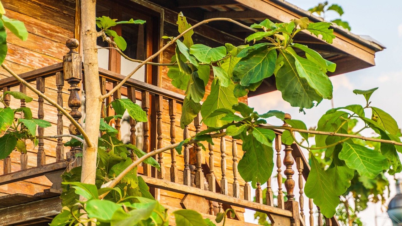 Photo of Outdoor in Ban Waen